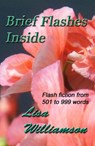 Brief Flashes Inside - Lisa Williamson - 9781516379415