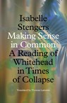 Making Sense in Common - Isabelle Stengers - 9781517911430