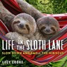 Life in the Sloth Lane - Lucy Cooke - 9781523503896