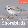 Audubon Little Shorebirds Mini Wall Calendar 2024 -  - 9781523519033