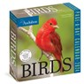 Audubon Birds Page-A-Day Calendar 2024 -  - 9781523519132