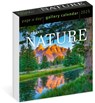 Audubon Nature Page-A-Day® Gallery Calendar 2025 -  - 9781523526147