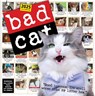 Bad Cat Wall Calendar 2025 -  - 9781523526321
