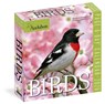 Audubon Birds Page-A-Day® Calendar 2026 -  - 9781523530656