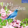 Audubon Birds in the Garden Wall Calendar 2026 -  - 9781523530878