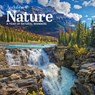 Audubon Nature Wall Calendar 2026 -  - 9781523530922