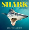 Shark Mini Wall Calendar 2026 -  - 9781523531455