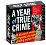 Year of True Crime Page-A-Day® Calendar 2026 -  - 9781523531899