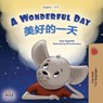 A Wonderful Day (English Chinese Bilingual Book for Kids - Mandarin Simplified) - Sam Sagolski ; Kidkiddos Books - 9781525972393