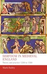 Serfdom in Medieval England - Mark Bailey - 9781526172976