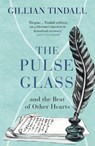 The Pulse Glass - Gillian Tindall - 9781529111088