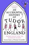 An Accidental History of Tudor England - Steven Gunn ; Tomasz Gromelski - 9781529333763