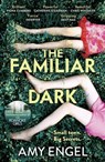 The Familiar Dark - Amy Engel - 9781529368093