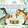 Molly, Olive and Dexter: The Guessing Game - Catherine Rayner - 9781529501544