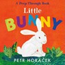 Little Bunny - Petr Horacek - 9781529517354