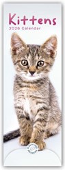 Kittens Slim Calendar 2026 -  - 9781529847710