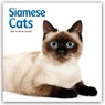 Siamese Cats Square Wall Sunday Start Ca -  - 9781529852059