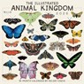 2026 Illustrated Animal Kingdom, the -- Kelsey Oseid Wall Calendar -  - 9781531943646