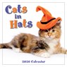 2026 Cats in Hats Mini Calendar -  - 9781531943721