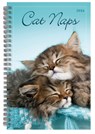 2026 Cat Naps Classic Engagement Planner -  - 9781531943974