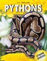 Pythons - S. L. Hamilton - 9781532116032