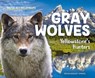 Gray Wolves: Yellowstone's Hunters: Yellowstone's Hunters - Megan Borgert-Spaniol - 9781532191862