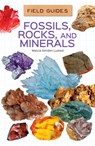 Fossils, Rocks, and Minerals - Marcia Amidon Lusted - 9781532196966