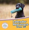Labrador Retrievers Show Off - Sabrina Lakes - 9781532455278