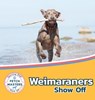 Weimaraners Show Off - Sabrina Lakes - 9781532455315