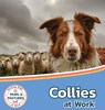 Collies at Work - Sabrina Lakes - 9781532455438