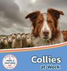 Collies at Work - Sabrina Lakes - 9781532455438