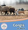 Corgis at Work - Sabrina Lakes - 9781532455476