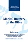 Hamer, C: Marital Imagery in the Bible - Colin Hamer - 9781532669200