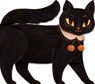 One Black Cat - Robie Rogge - 9781534464049