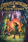 The Secrets of the Stormforest - L. D. Lapinski - 9781534483590