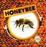 Life Cycle of a Honeybee - Kirsty Holmes - 9781534527287