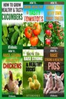 6 books in 1 - Htebooks - 9781535440370