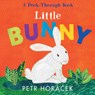 Little Bunny - Petr Horacek - 9781536238853