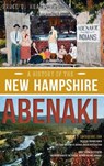 A History of the New Hampshire Abenaki - Bruce D. Heald - 9781540223302