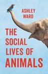 The Social Lives of Animals - Ashley Ward - 9781541600836