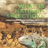 Baby: What is Natural Selection? Understanding How Natural S - Baby - 9781541991095