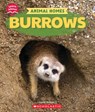 Burrows (Learn About: Animal Homes) - Claire Caprioli - 9781546177036