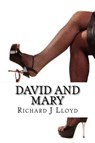 David and Mary - Richard John Lloyd - 9781547151608