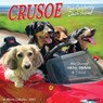 Crusoe the Celebrity Dachshund 2026 12 X 12 Wall Calendar - Ryan Beauchesne - 9781549250910