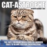 Cat-Astrophe 2026 7 X 7 Mini Wall Calendar - Willow Creek Press - 9781549253492