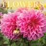 Flowers 2026 7 X 7 Mini Wall Calendar - Willow Creek Press - 9781549253584
