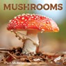 Mushrooms 2026 7 X 7 Mini Wall Calendar - Willow Creek Press - 9781549253652