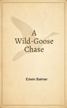 A Wild-Goose Chase - Edwin Balmer - 9781553539636