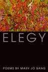 Bang, M: Elegy - Mary Jo Bang - 9781555975401