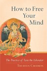 How to Free Your Mind - Thubten Chodron - 9781559393980